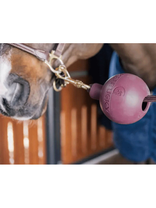 Balle de protection d'attache Kentucky