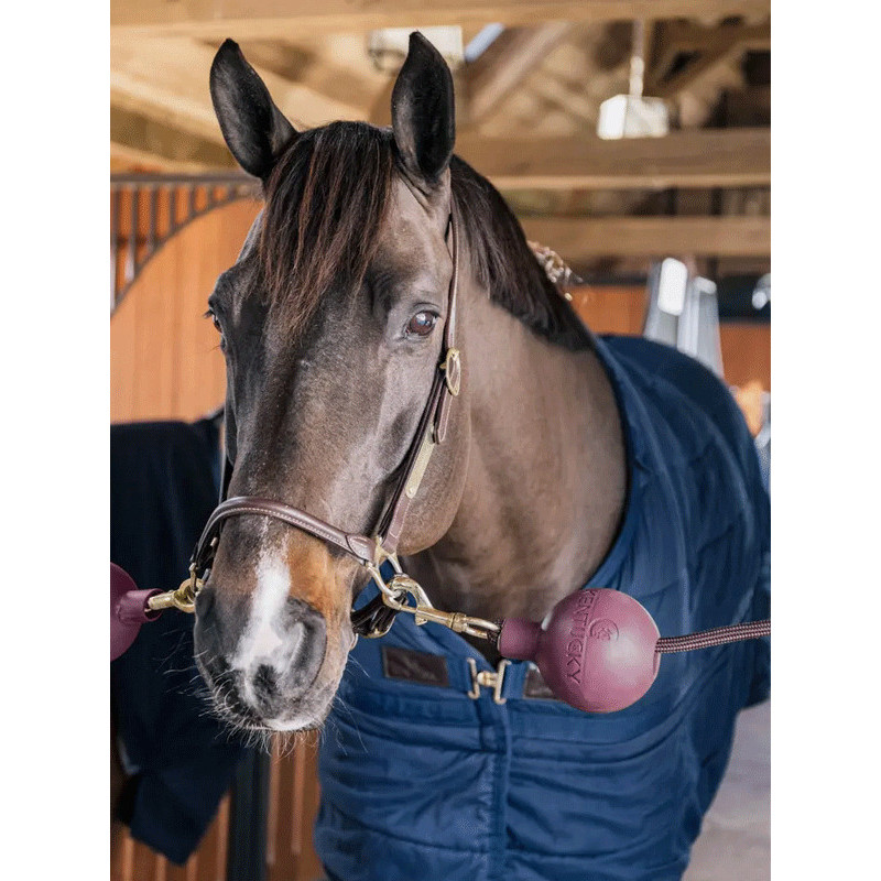 Balle de protection d'attache Kentucky