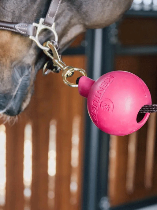 Balle de protection d'attache Kentucky