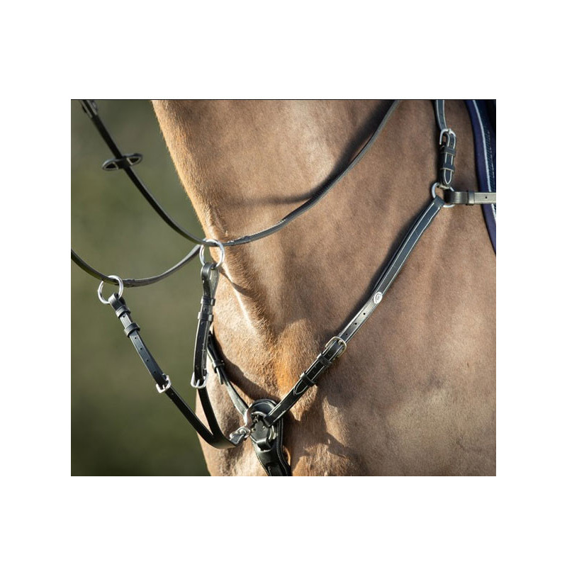 Collier de chasse Long Bridge HFI