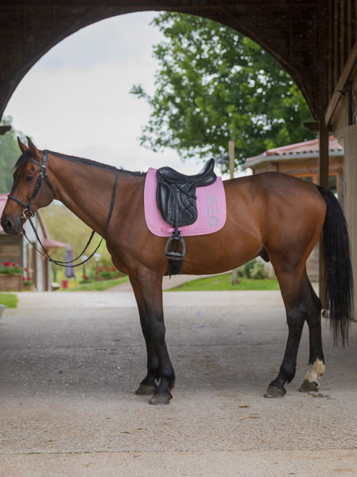 Tapis Ten dressage GEM