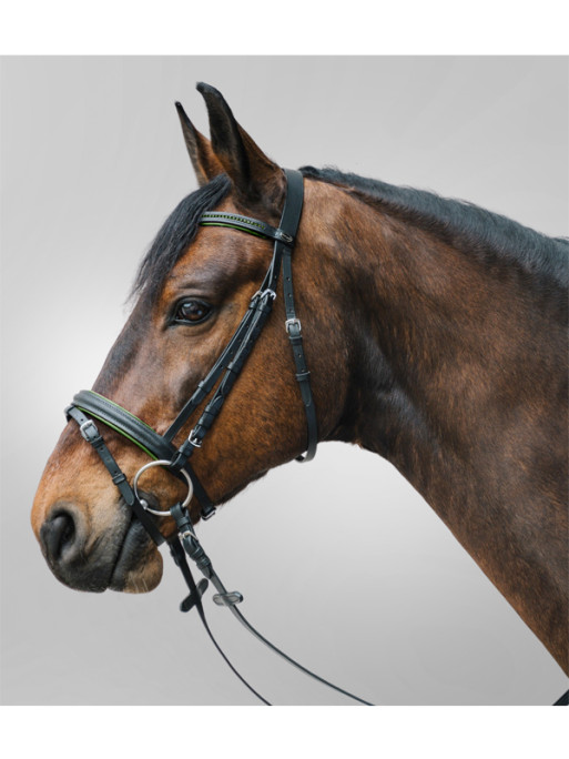 Bridon Star Diamond Waldhausen