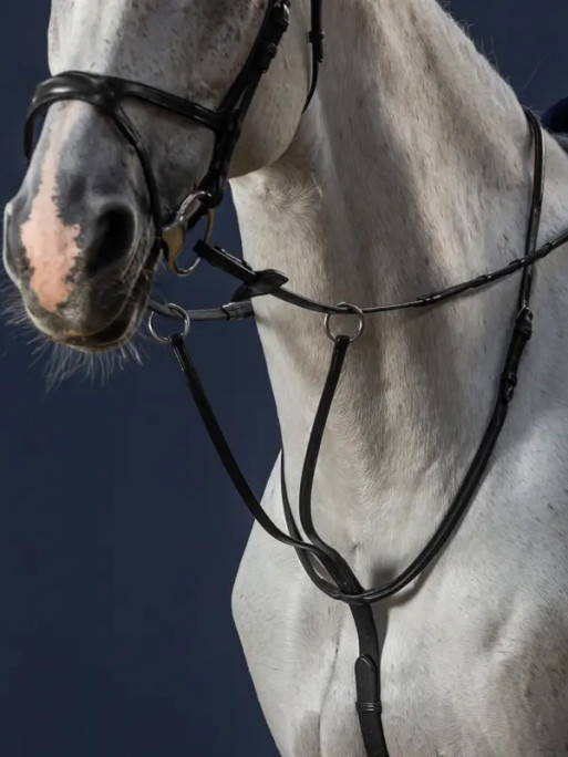 Martingale à anneaux New English Collection Dy'on