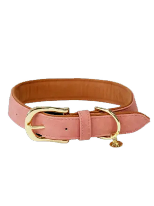 Collier pour Chien Vegan leather Kentucky Collier pour Chien Vegan leather Kentucky