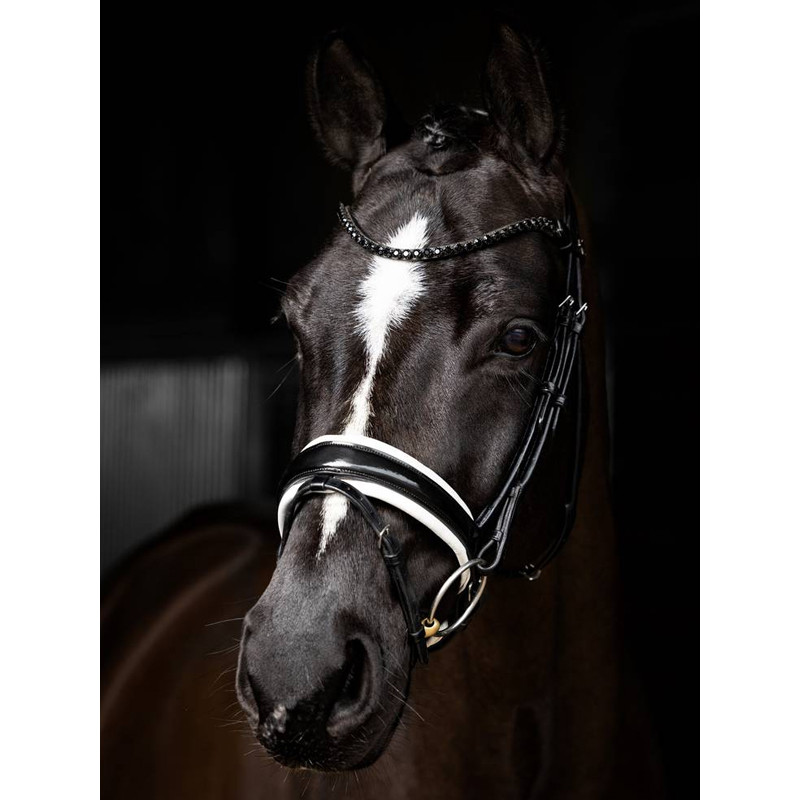 Bridon dressage Kudos Patent LeMieux