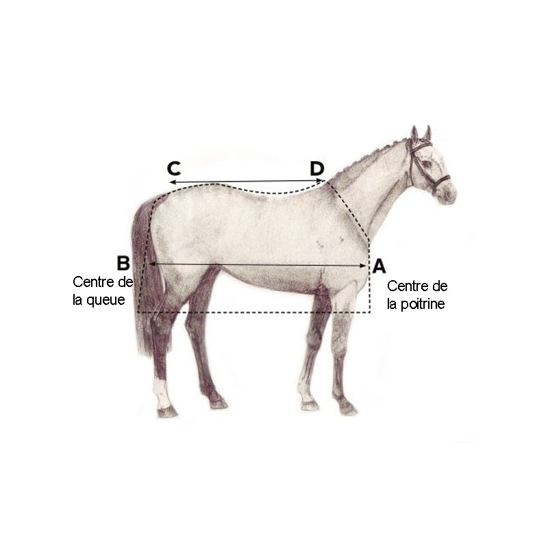 Sous-couverture 300g Horseware