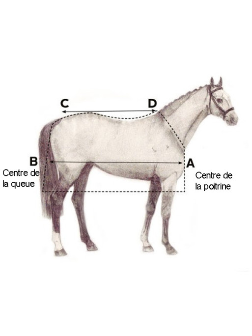 Sous-couverture 300g Horseware
