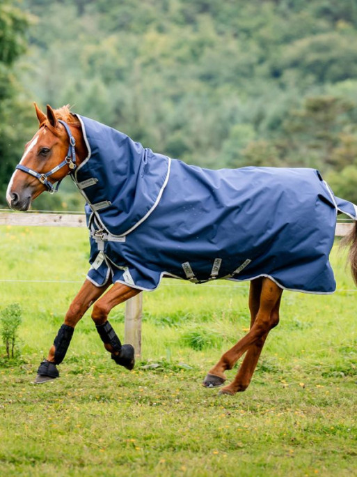 Couverture Amigo Bravo 12 Plus 250g Horseware Couverture Amigo Bravo 12 Plus 250g Horseware