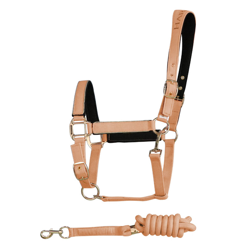 Licol et longe Hansy SS25 Harcour