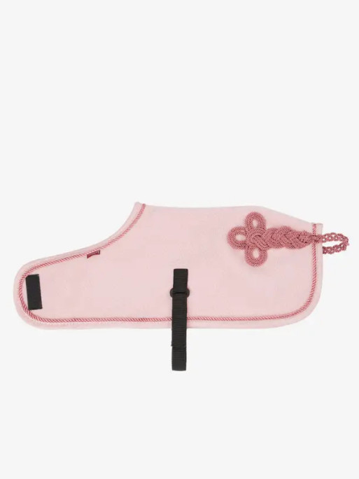 Couverture Toy Pony Lemieux