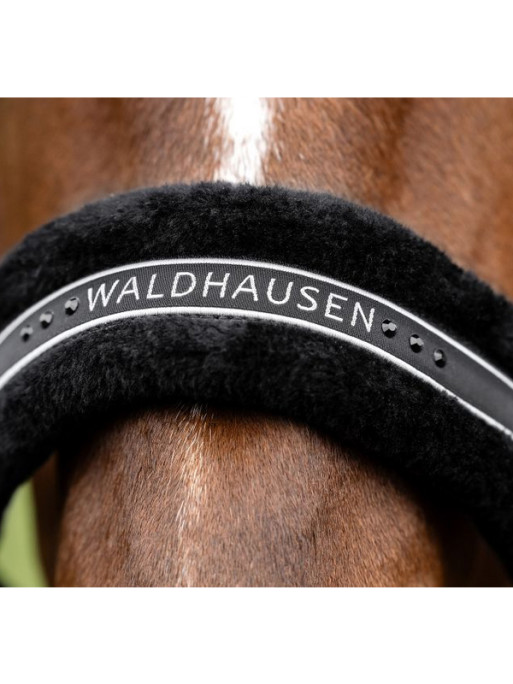 Licol élégant Waldhausen