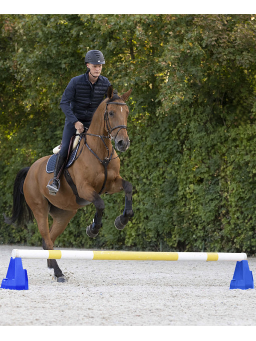 Bloc d'obstacle Cavaletti Waldhausen Bloc d'obstacle Cavaletti Waldhausen
