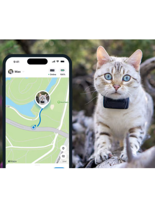 Traceur GPS connecté Cat Mini Tractive Traceur GPS connecté Cat Mini Tractive