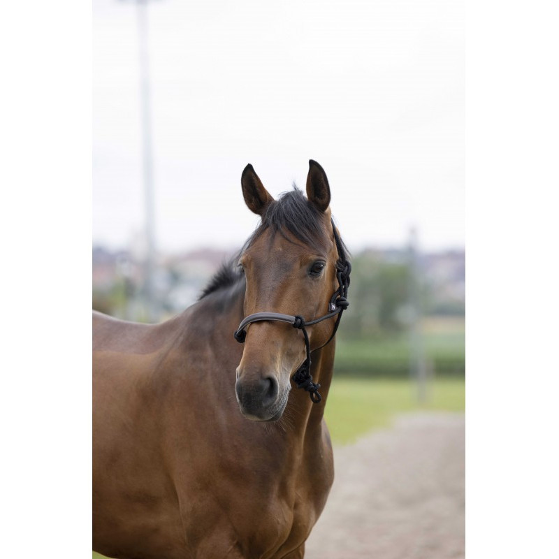 Licol éthologique Corde/Synthétique Norton