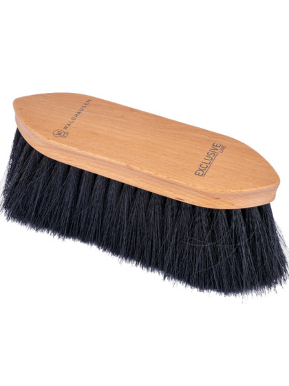 Brosse à poussière Exclusive Line Waldhausen