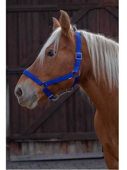 Licol cheval de trait Norton