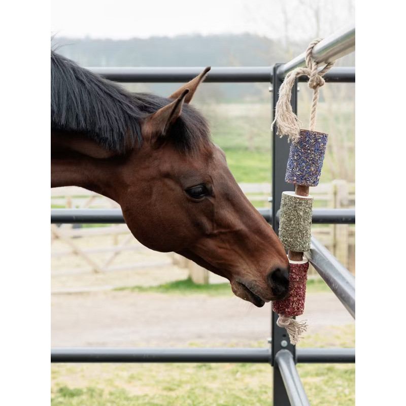 Jouet en bois relaxant Kentucky