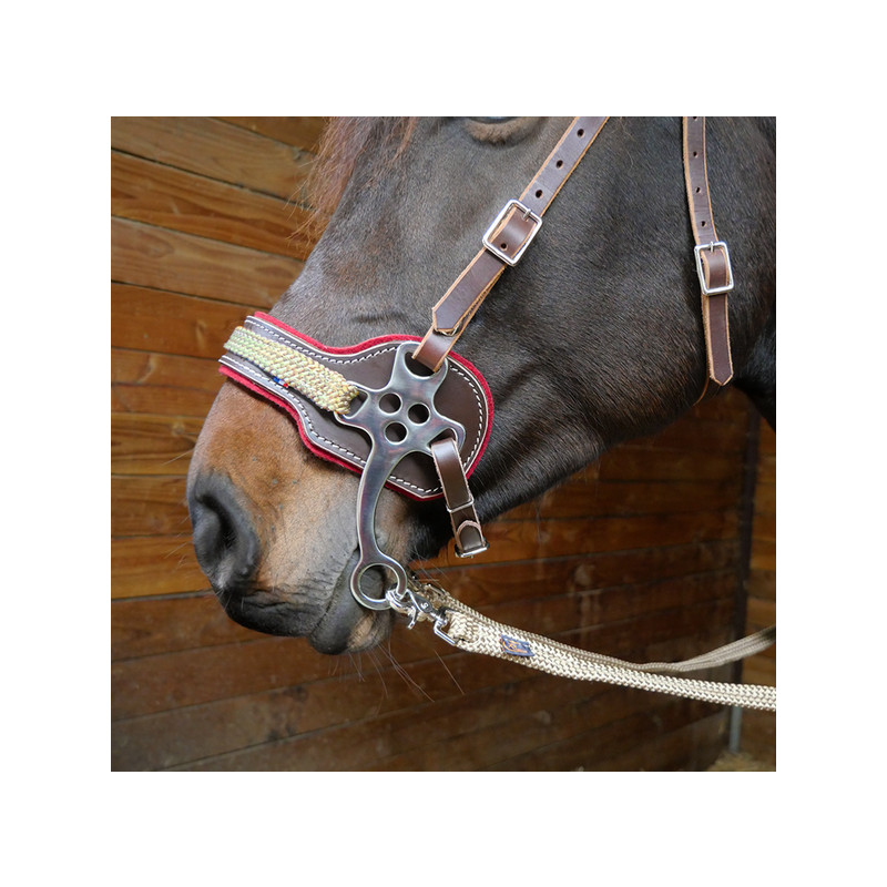 Hackamore en cuir et feutre de laine Ronzon Legend