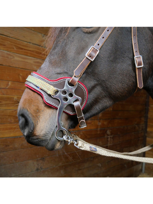 Hackamore avec bridon en cuir et feuttre de laine Ronzon Legend Hackamore avec bridon en cuir et feuttre de laine Ronzon Legend