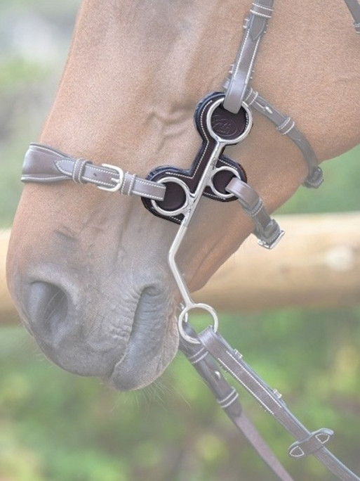 Protection pour Hackamore Jump'In