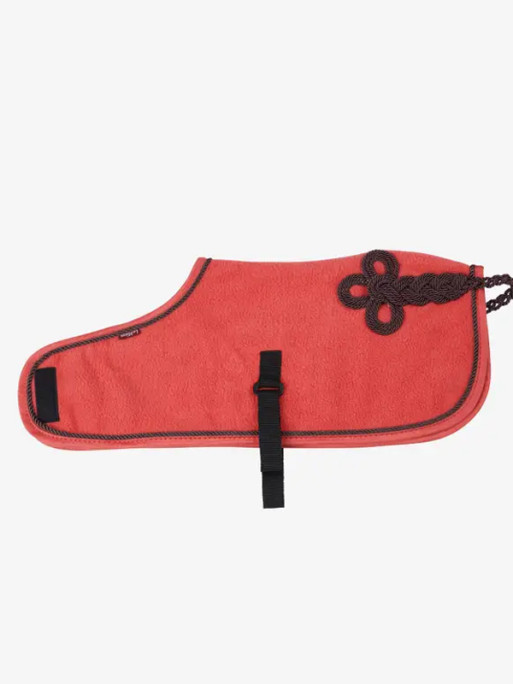 Couverture Toy Pony Lemieux