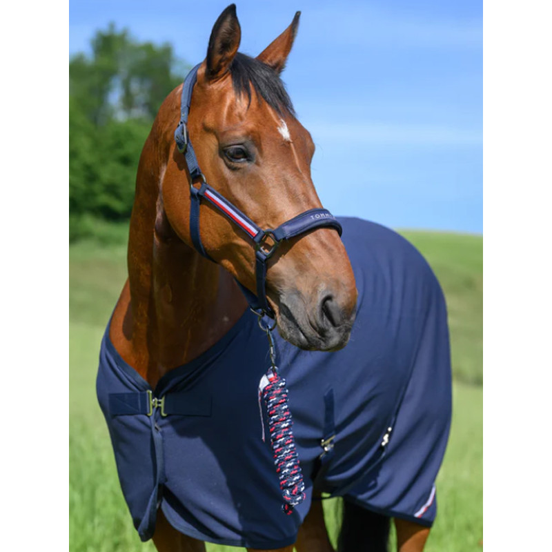 Licol + longe Yale Set FW25 Tommy Hilfiger Equestrian