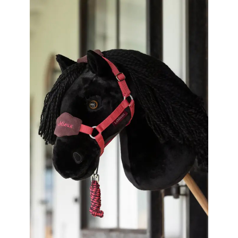 Hobby Horse Spike LeMieux
