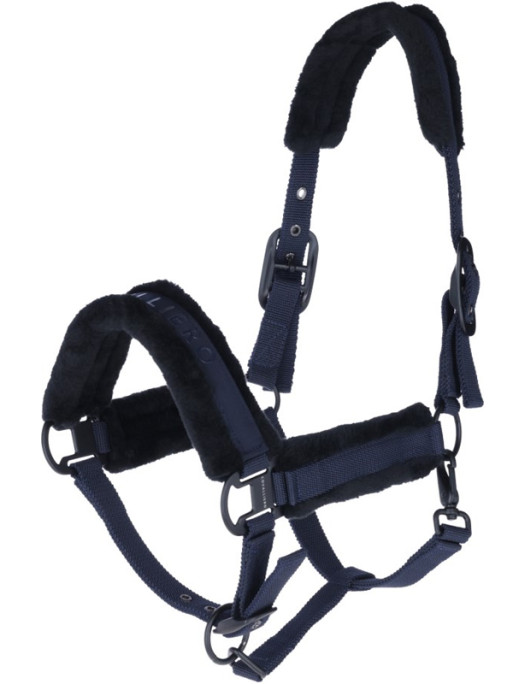 Licol FW25 Covalliero 