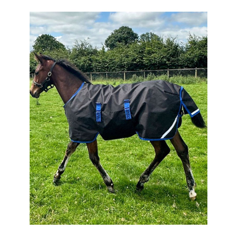 Couverture d'éxterieur poulain Amigo Ripstop 200g 900D Horseware