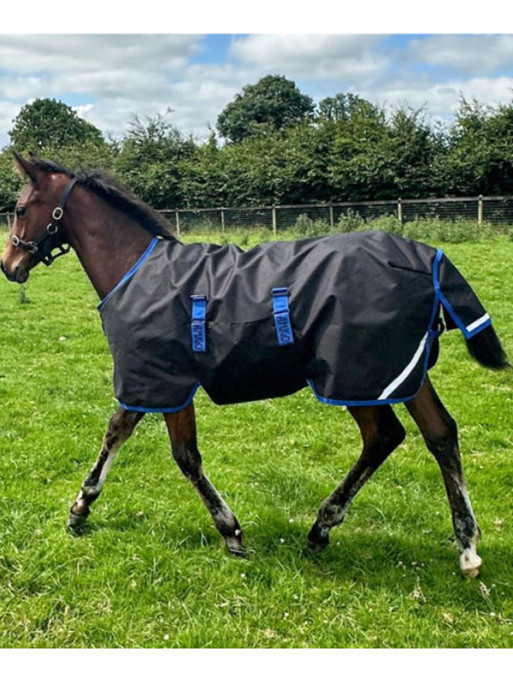 Couverture d'éxterieur poulain Amigo Ripstop 200g 900D Horseware Couverture d'éxterieur poulain Amigo Ripstop 200g 900D Horseware