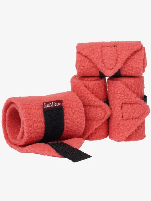 Bandes Toy Pony Lemieux