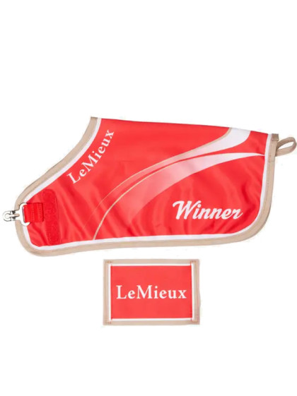 Couverture Winners Toy Pony LeMieux