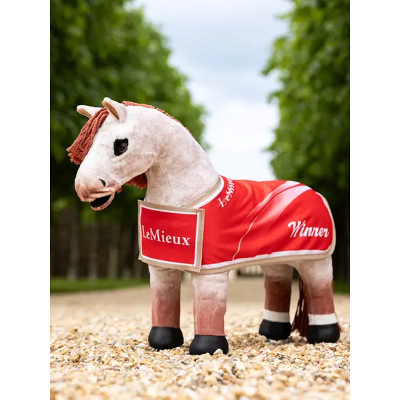 Couverture Winners Toy Pony LeMieux