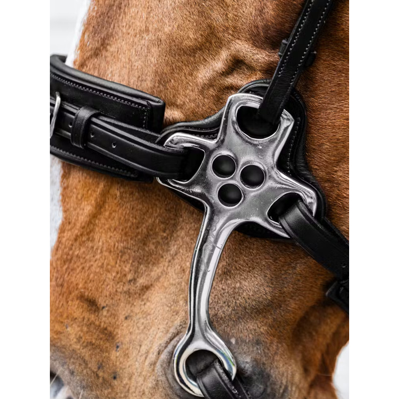 Hackamore New English Collection Dy'on