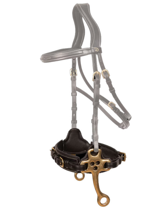 Hackamore D Collection Dy'on