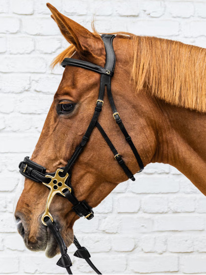 Hackamore D Collection Dy'on
