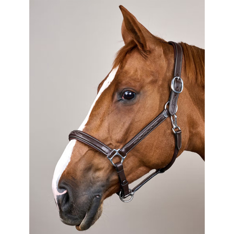 Licol en cuir Fancy Working by Dy'on