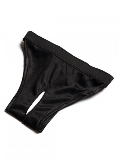 Culotte de protection chien...