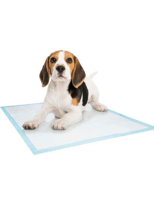 Tapis éducateurs pour chien x10 Nobby