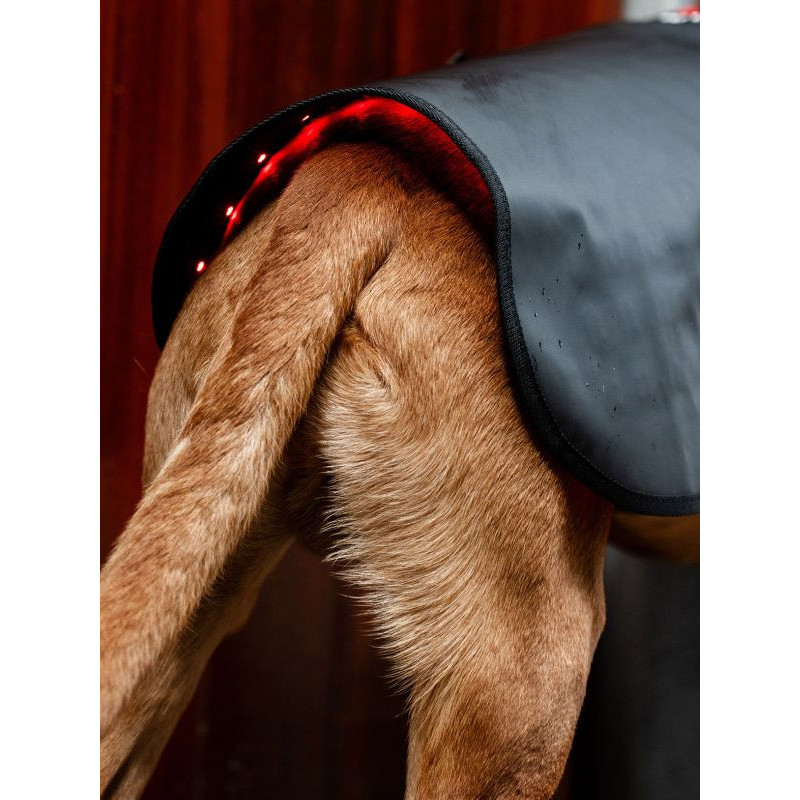 Manteau de thérapie par lumière rouge LED Horseware