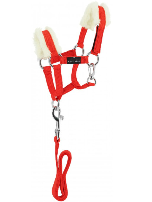 Set mini longe et licol Pony Academy Equi-Thème