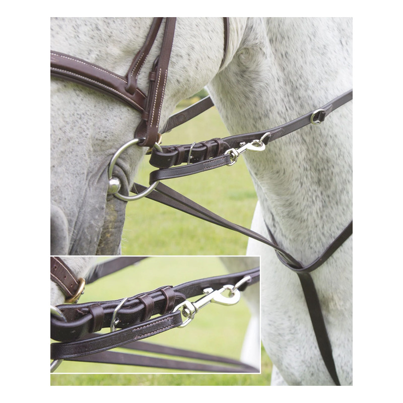 Martingale Market Harborough Velociti Gara