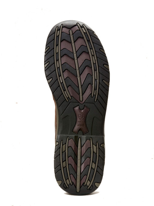 Chaussures Telluride Zip H2O homme Ariat