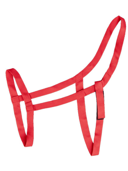 Licol de pâturage Waldhausen