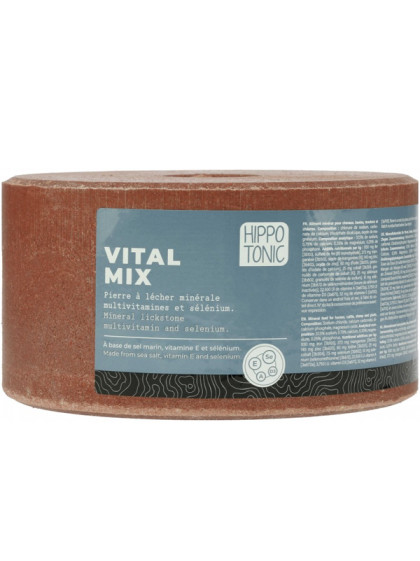 Pierre à sel Vitamix Hippo-Tonic