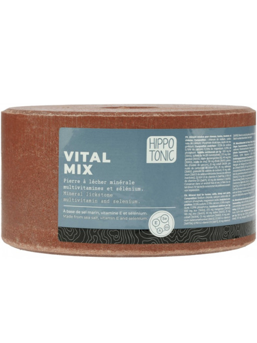 Pierre à sel Vitamix Hippo-Tonic