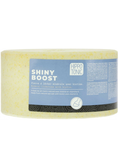 Pierre à sel Shiny Boost Hippo-Tonic