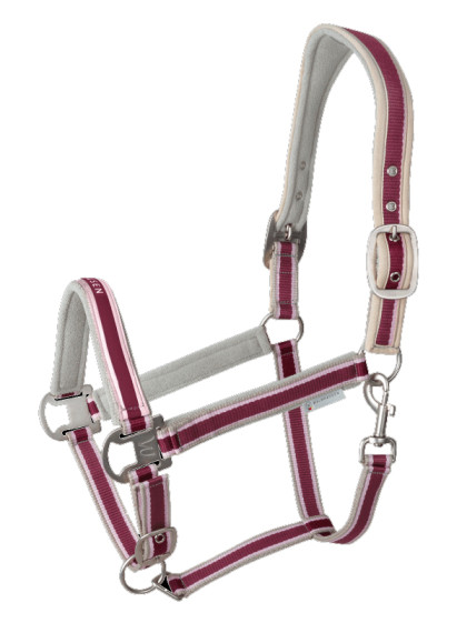 Licol Atheltic SS25 Waldhausen