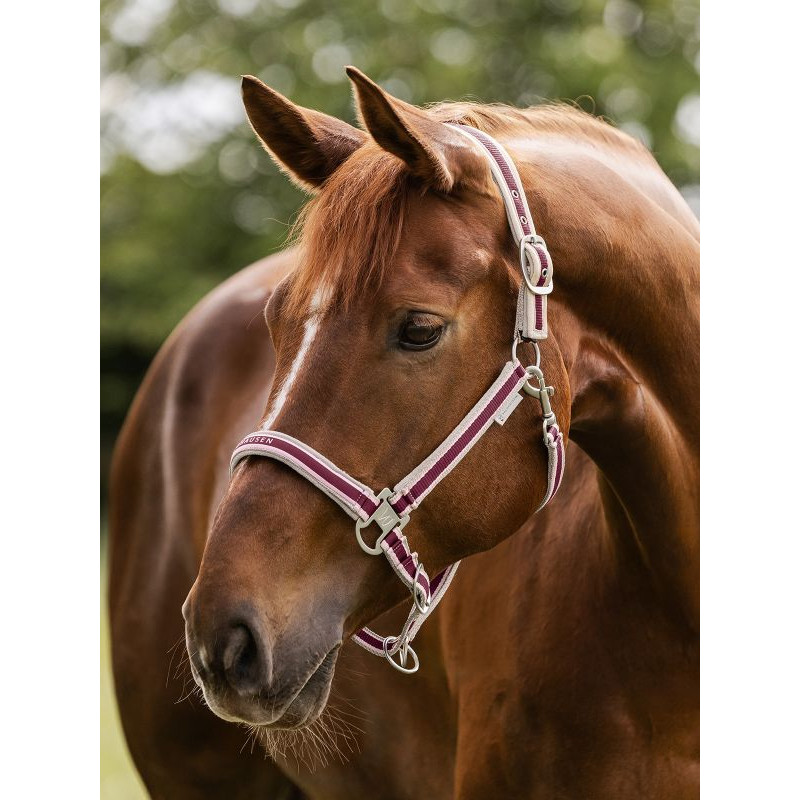 Licol Atheltic SS25 Waldhausen