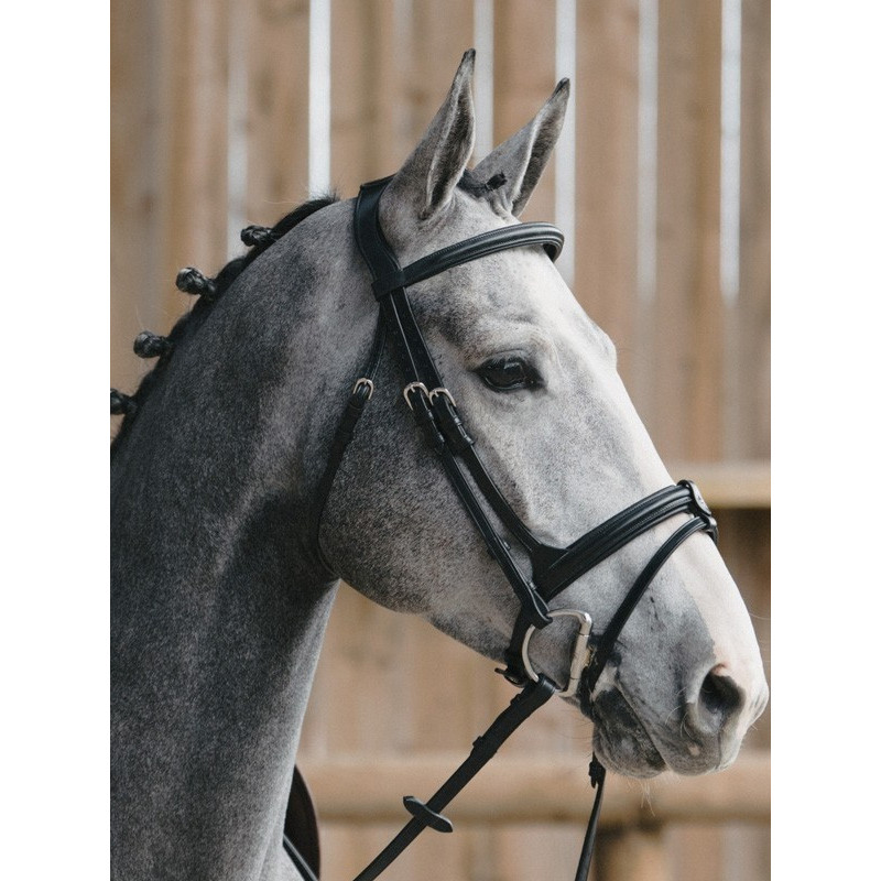 Bridon Evolution muserolle combinée Origin Jump'In